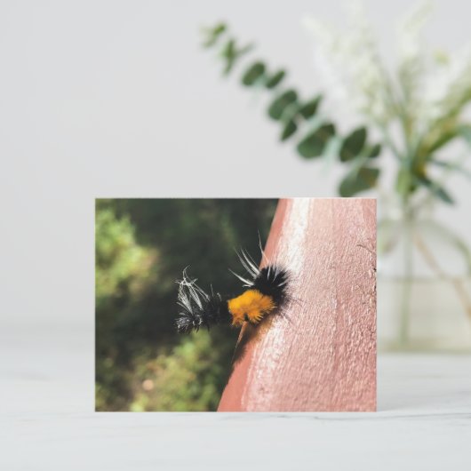 Tanzende Raupe Postkarte (Stehend Vorderseite)
