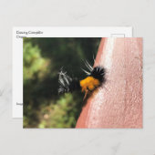 Tanzende Raupe Postkarte (Vorne/Hinten)