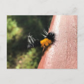 Tanzende Raupe Postkarte (Vorderseite)