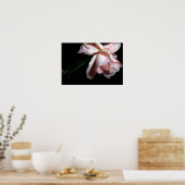Tanzende Rose 19x13 Poster (Küche)