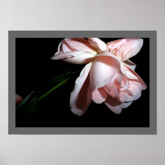 Tanzende Rose Poster (Vorne)