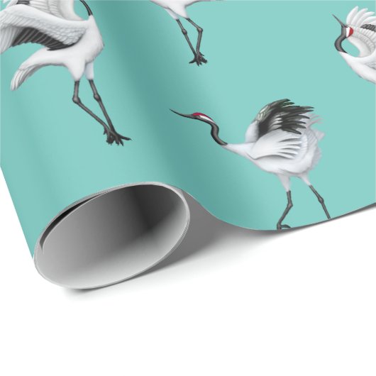 Tanzender Japaner streckt Packpapier (Rolleneckpunkt)