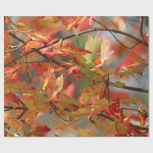 Tanzenherbst-Blätter Geschenkpapier (Flach)