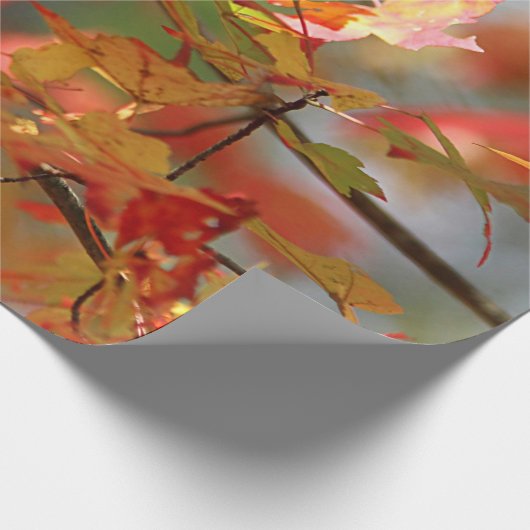 Tanzenherbst-Blätter Geschenkpapier (Ecke)