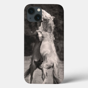 TanzenStallions Case-Mate iPhone Hülle