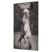 TanzenStallions Klemmbrett (Links)