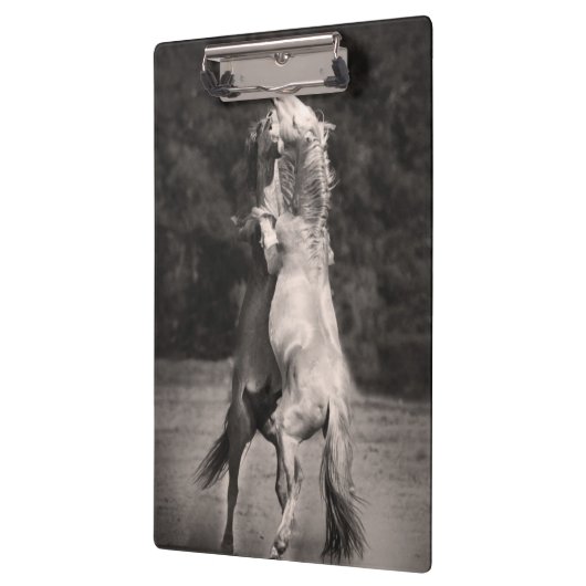 TanzenStallions Klemmbrett (Links)