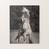 TanzenStallions Puzzle (Vertikal)