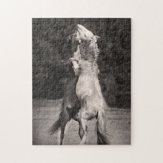 TanzenStallions Puzzle (Vertikal)