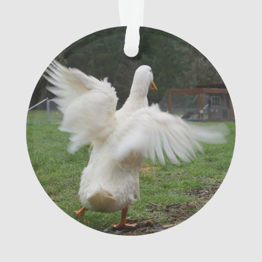 Tanzente Ornament (Rückseite)