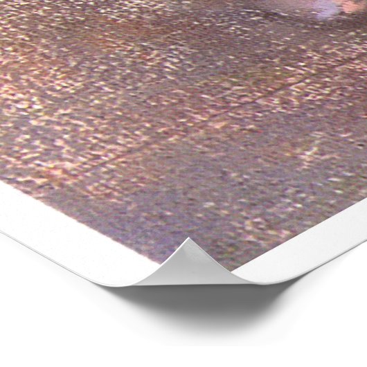 Tänzer am Bar, c. 1880, Edgar Degas Poster (Ecke)