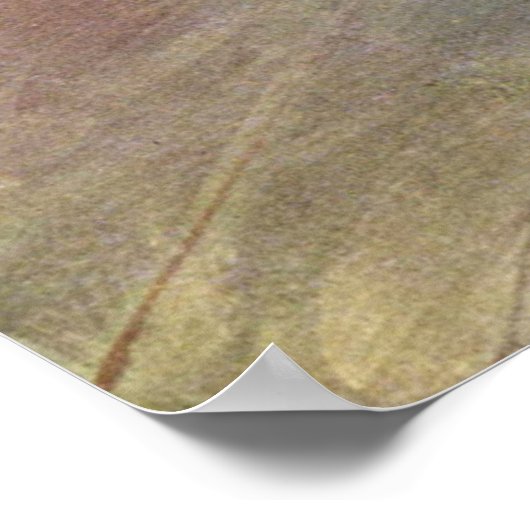 Tänzer mit einem Bow - Edgar Degas - 1878 Poster (Ecke)