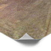 Tänzer / Star des Balletts - Degas Malerei Poster (Ecke)