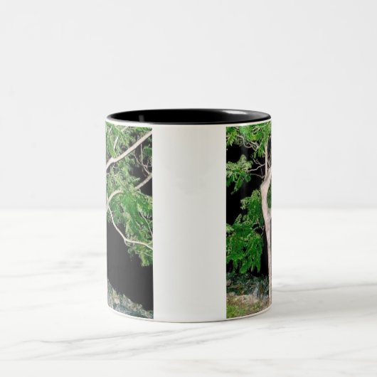 Tänzerin-Baum Zweifarbige Tasse (Mittel)