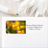 Tanzfläche (Insitu)