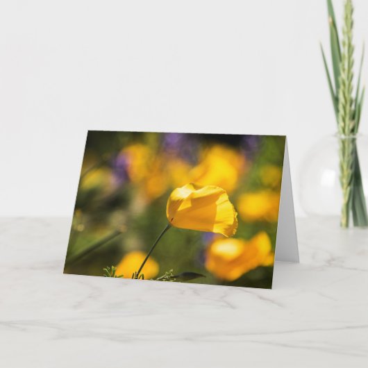 Tanzfläche Karte (Vorderseite)