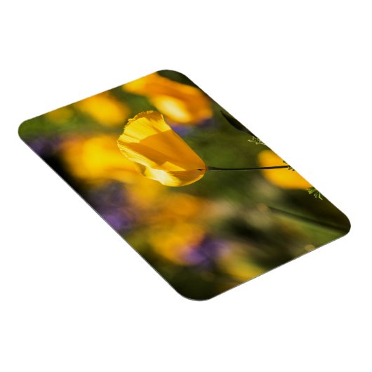 Tanzfläche Magnet (Rechte Seite)