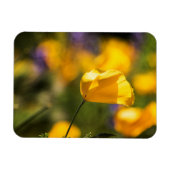 Tanzfläche Magnet (Horizontal)