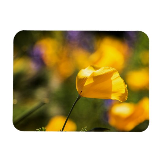 Tanzfläche Magnet (Horizontal)