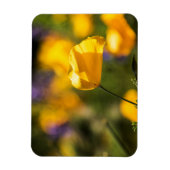 Tanzfläche Magnet (Vertikal)