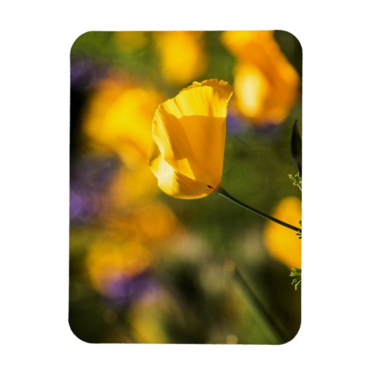 Tanzfläche Magnet (Vertikal)