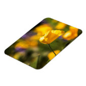 Tanzfläche Magnet (Linke Seite)