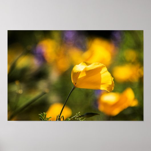 Tanzfläche Poster (Vorne)