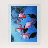 Tanzflamingos Puzzle (Vertikal)
