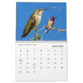 Tanzflaschen Kalender (Mär 2026)