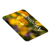 Tanzgebiet, Arizona Magnet (Rechte Seite)