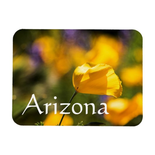 Tanzgebiet, Arizona Magnet (Horizontal)