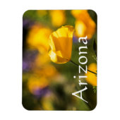 Tanzgebiet, Arizona Magnet (Vertikal)