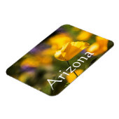 Tanzgebiet, Arizona Magnet (Linke Seite)