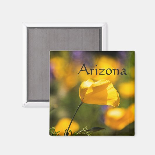 Tanzgebiet, Arizona Magnet (Vorderseite/Rückseite)