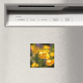 Tanzgebiet, Arizona Magnet (In Situ (Geschirrspüler))