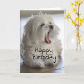 **TANZINSTRUCTOR** GLÜCKLICHER GEBURTSTAG KARTE (Gelbe Blume)