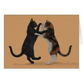 Tanzkatzen (Vorderseite (Horizontal))