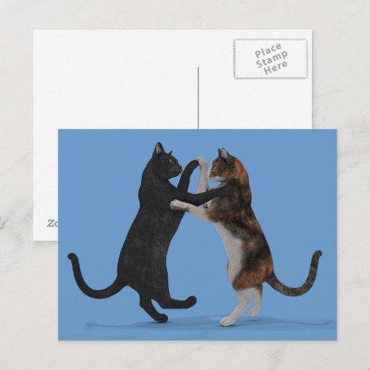 Tanzkatzen Postkarte (Vorne/Hinten)
