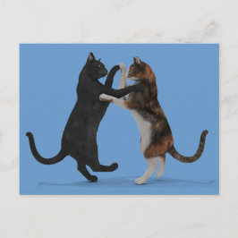 Tanzkatzen Postkarte