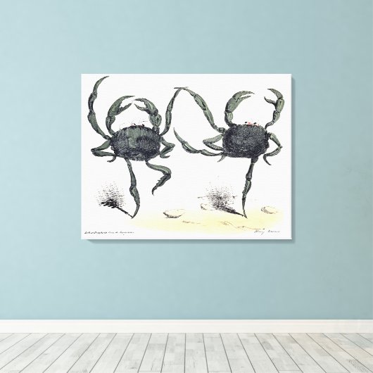 Tanzkrabben auf Tuch Leinwanddruck (Insitu (Holzboden))