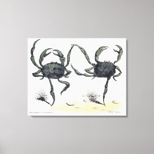 Tanzkrabben auf Tuch Leinwanddruck