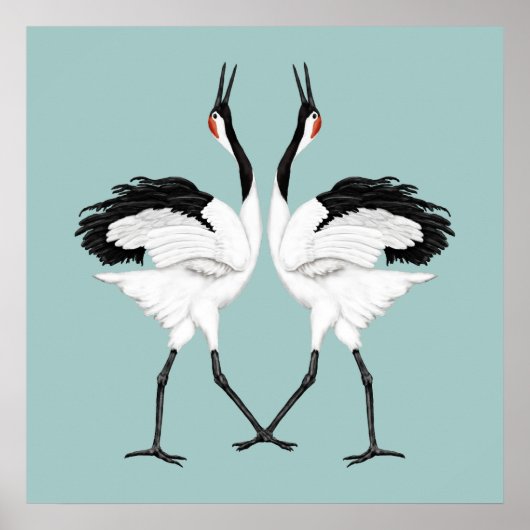 Tanzkran Poster (Vorne)