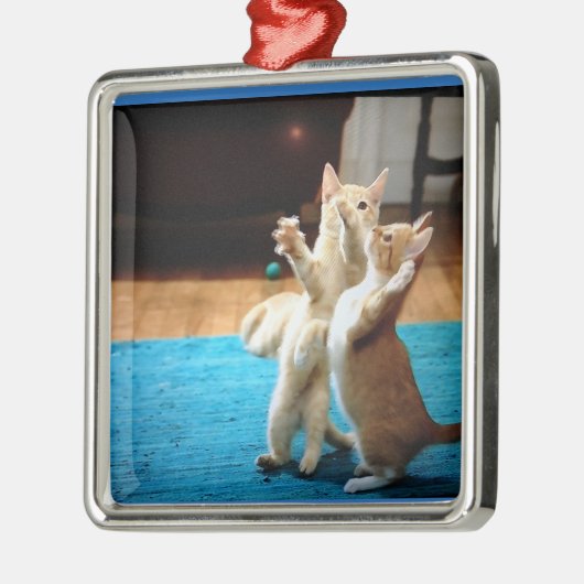 "TANZKÜCHE"-CHRISTMAS-ORNAMENS SILBERNES ORNAMENT (Links)