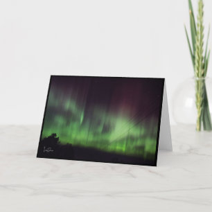 Tanzlichter über ruhige Bäume, leere Karte