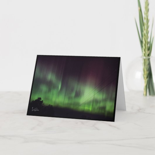 Tanzlichter über ruhige Bäume, leere Karte (Vorderseite)