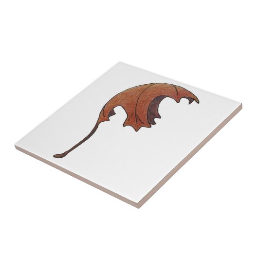 Tanzmarmelade Orange Fliese (Seite)