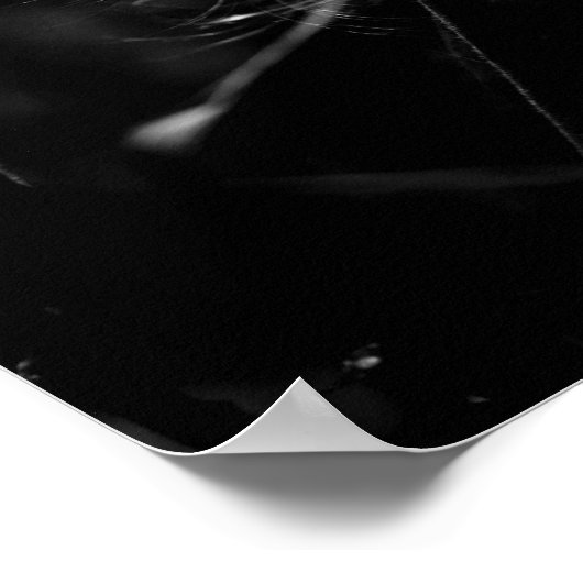 Tanzmilk Poster (Ecke)