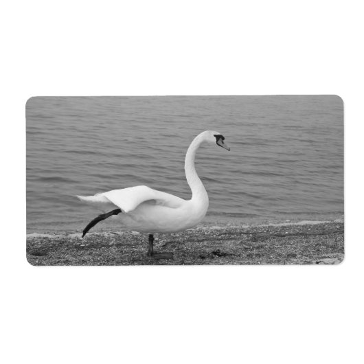 Tanzschwan (Vorne)