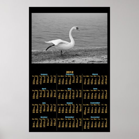 Tanzschwan 2012 Kalenderposter Poster (Vorne)