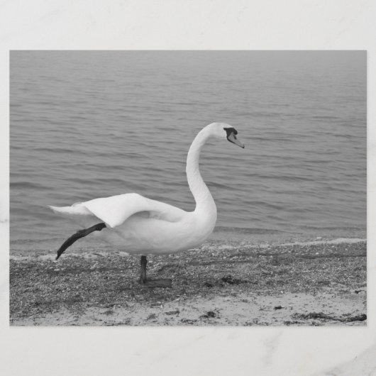 Tanzschwan Flyer (Vorne)